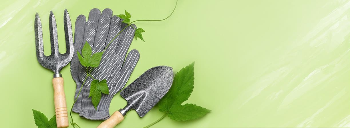 ابزار باغبانی تخصص ماست